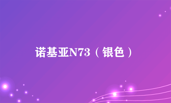 诺基亚N73（银色）