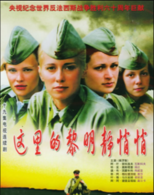 这里的黎明静悄悄（2005年毛卫宁、张光北导演电视剧）