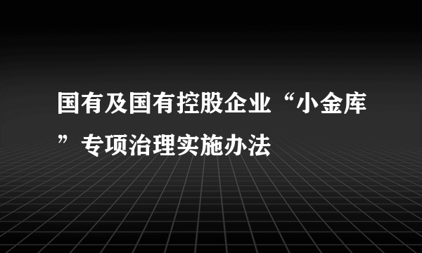 国有及国有控股企业“小金库”专项治理实施办法