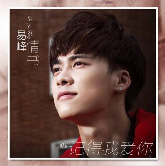 记得我爱你（李易峰演唱歌曲）