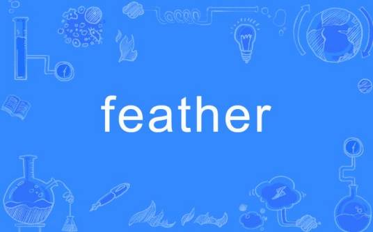 feather（英语单词）