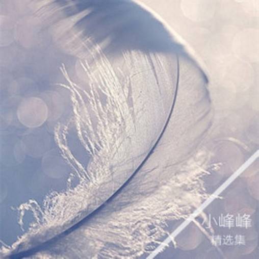 请答应我的告白