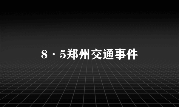 8·5郑州交通事件