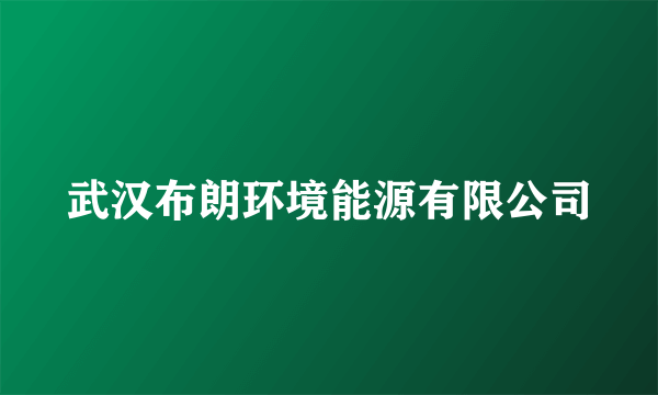 武汉布朗环境能源有限公司