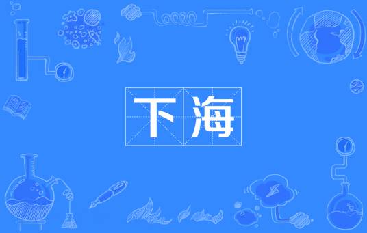 下海（网络流行词）