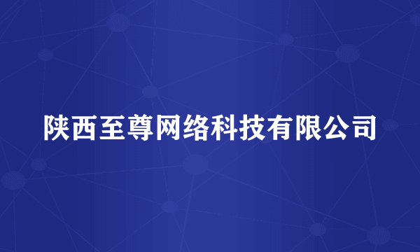 陕西至尊网络科技有限公司