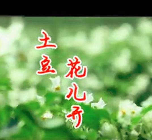土豆花儿开（阎维文演唱歌曲）