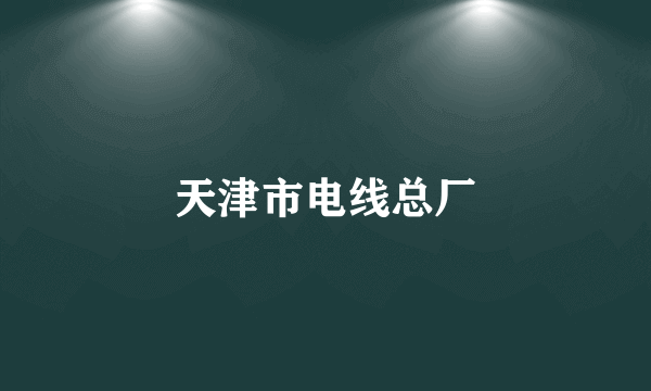 天津市电线总厂