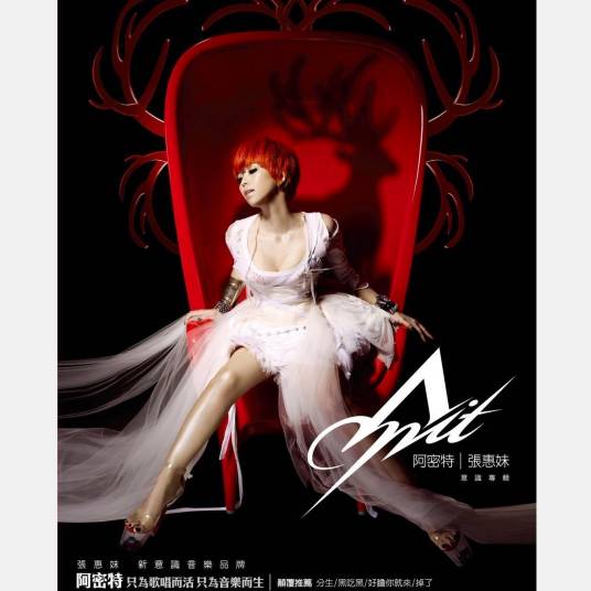 黑吃黑（张惠妹演唱歌曲）
