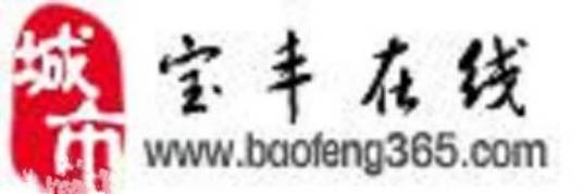 宝丰在线