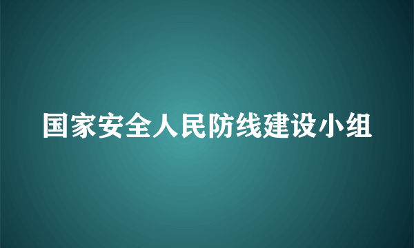 国家安全人民防线建设小组