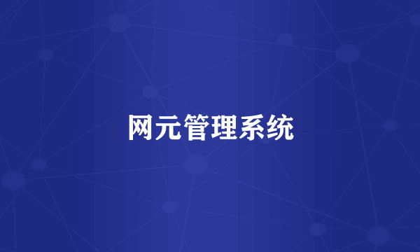 网元管理系统
