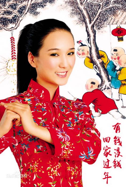 有钱没钱回家过年（龙梅子、王宝强演唱歌曲）