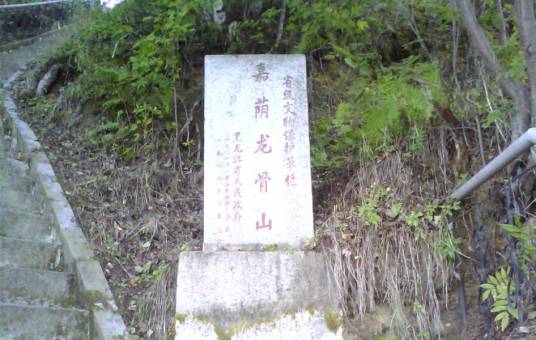 龙骨山（黑龙江省嘉荫县龙骨山）