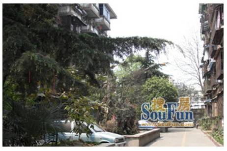 枣子巷（青羊城西一环内十二桥西安路附近的住宅）