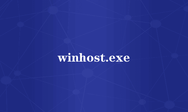 winhost.exe