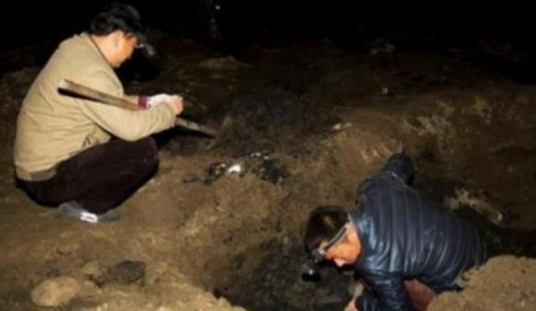 杨彬（武惠妃墓盗墓案主犯）