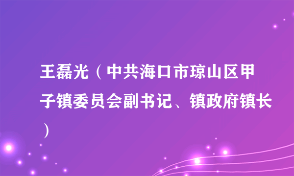 王磊光（中共海口市琼山区甲子镇委员会副书记、镇政府镇长）