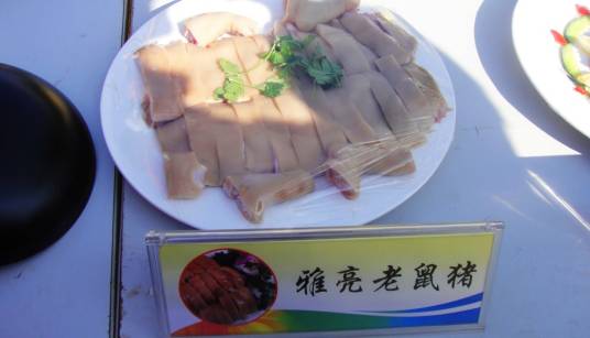 雅亮老鼠