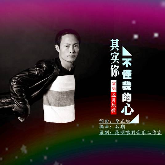 其实你不懂我的心（五月旭歌演唱歌曲）