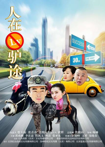 人在驴途（2016年杨琳执导的喜剧电影）