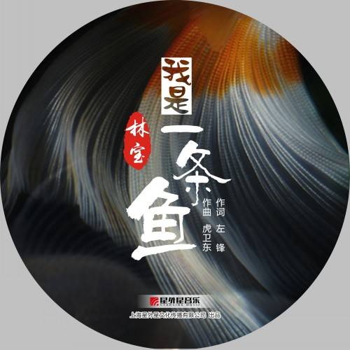 我是一条鱼（林宝演唱的歌曲）