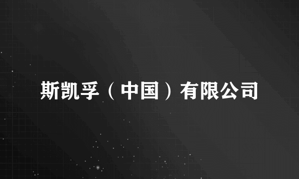 斯凯孚（中国）有限公司