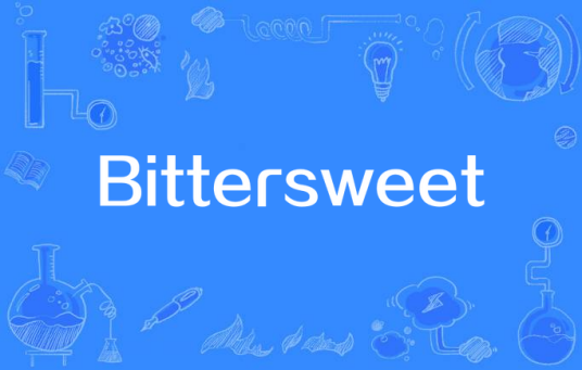 Bittersweet(Amy Diamond演唱歌曲)