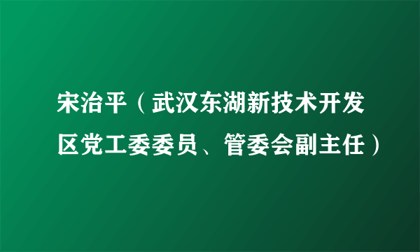 宋治平（武汉东湖新技术开发区党工委委员、管委会副主任）