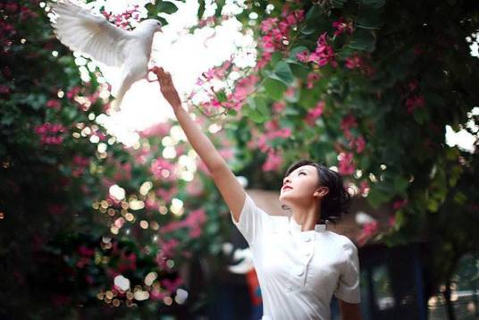 洒满阳光的路上