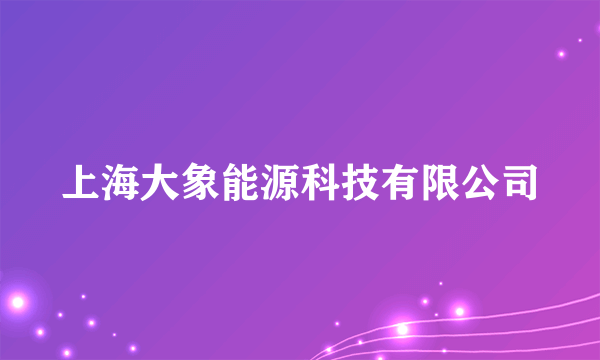 上海大象能源科技有限公司