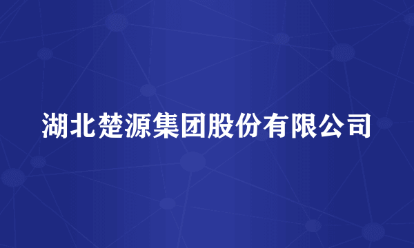 湖北楚源集团股份有限公司