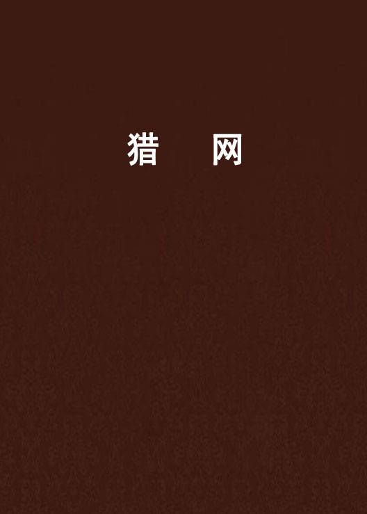 猎网（虾写创作的网游小说）