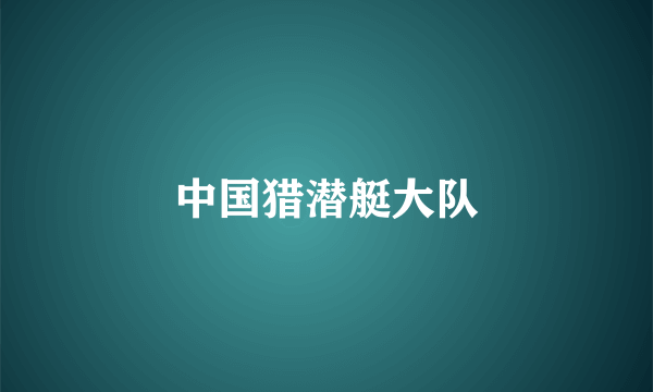 中国猎潜艇大队