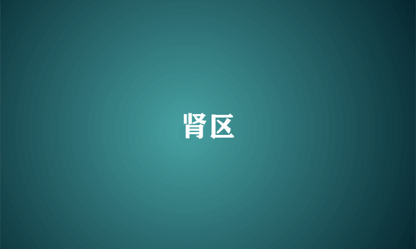 肾区