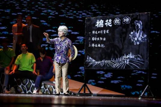 花漾年华（黄梅调音乐剧）