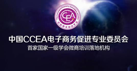 中国商业经济学会电子商务促进专业委员会