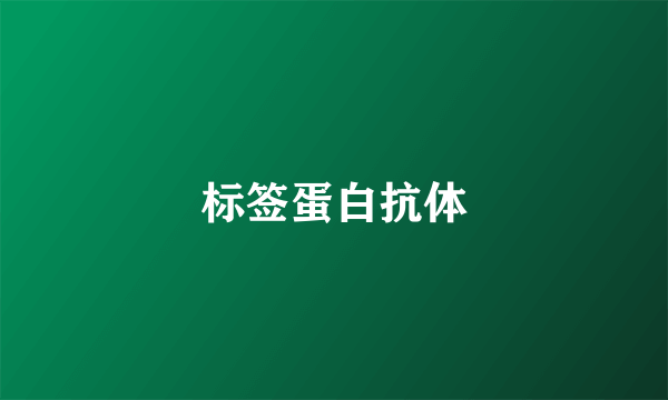 标签蛋白抗体