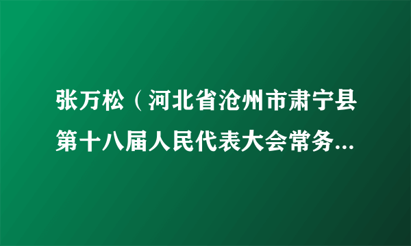 张万松（河北省沧州市肃宁县第十八届人民代表大会常务委员会主任）