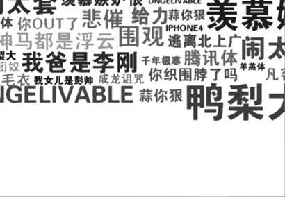 2010年网络流行语