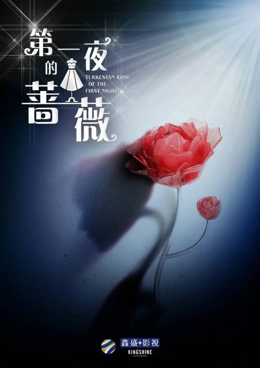 第一夜的蔷薇（阮惟新执导的爱情剧）