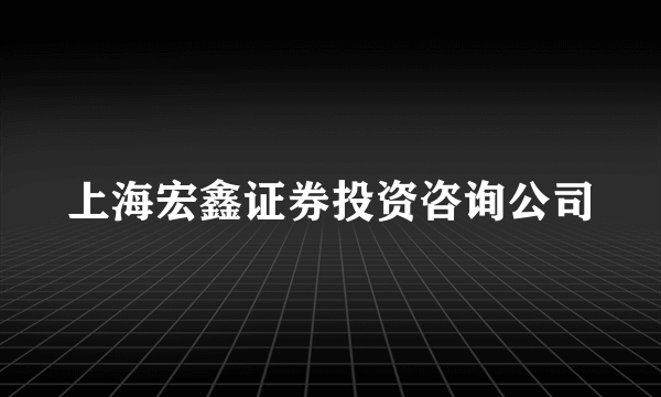 上海宏鑫证券投资咨询公司