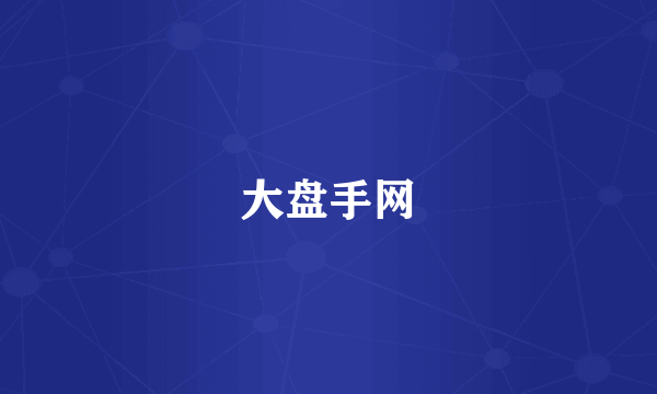 大盘手网