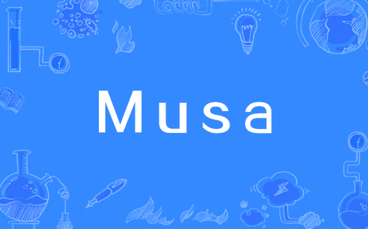 Musa（Pre5G关键技术之一）