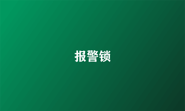 报警锁