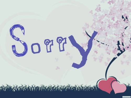 So sorry（英语单词）