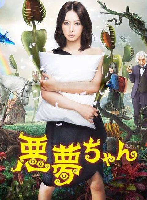 噩梦小姐（日本2012年北川景子等主演电视剧）