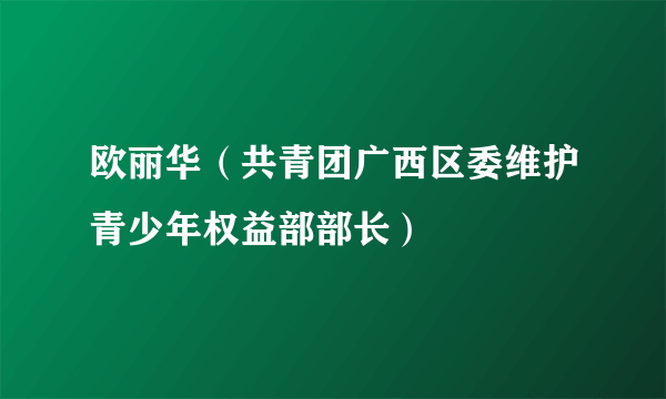 欧丽华(共青团广西区委维护青少年权益部部长)