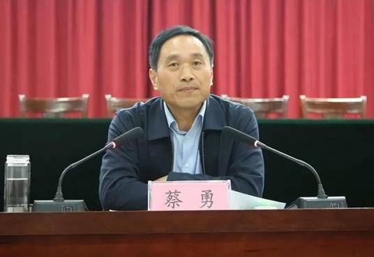 蔡勇（河南省商丘市宁陵县委书记）