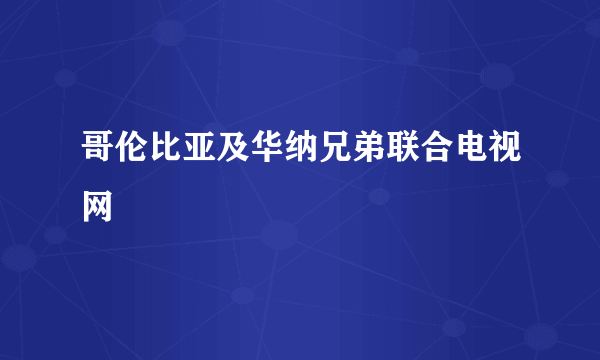哥伦比亚及华纳兄弟联合电视网